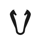 Vengoh logo
