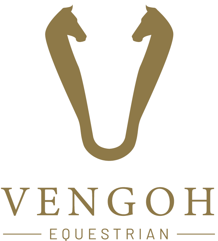 Logo de VENGOH